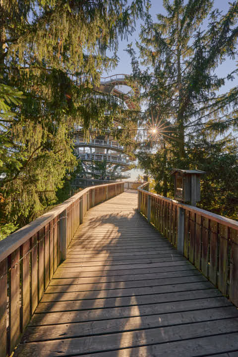 Gemeinde St._Englmar Landkreis Straubing-Bogen Maibrunn Waldwipfelweg (Dirschl Johann) Deutschland SR